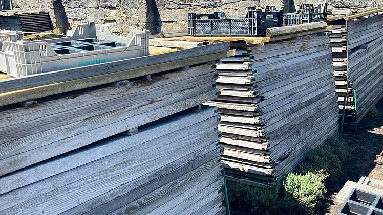 Bamberger "Hofstadt-Gärtnerei" schließt - jetzt läuft ein großer Räumungsverkauf