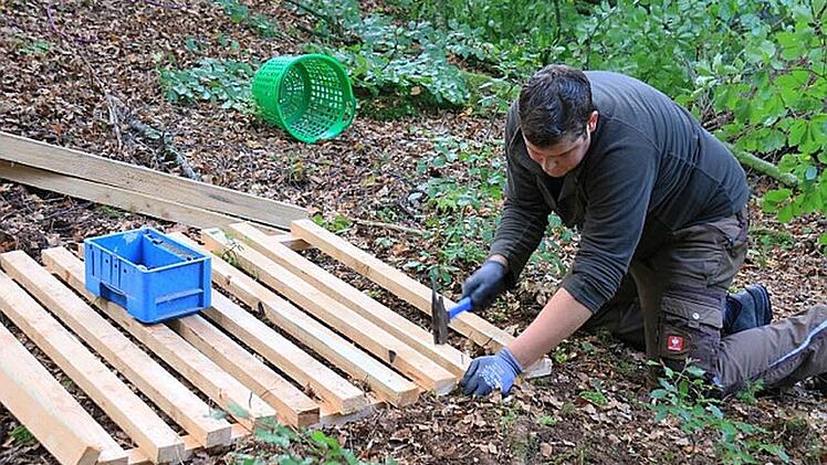 Foto: Hans-Peter Schönecker