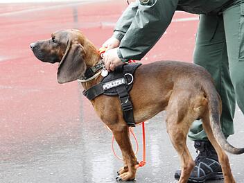 In Erlangen wurden nahe des j&uuml;dischen Friedhofs Knallger&auml;usche wahrgenommen und Platzpatronen gefunden.  Symbolfoto: Polizeipr&auml;sidium Oberfranken / Alexander G. Walther