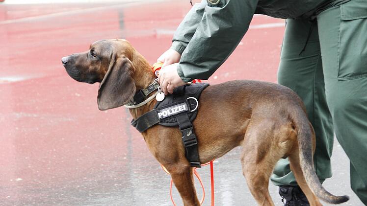 In Erlangen wurden nahe des j&uuml;dischen Friedhofs Knallger&auml;usche wahrgenommen und Platzpatronen gefunden.  Symbolfoto: Polizeipr&auml;sidium Oberfranken / Alexander G. Walther