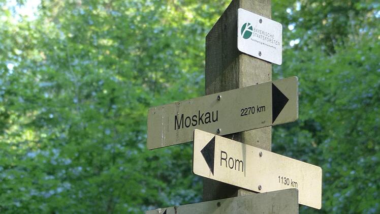 Im Markwald Foto: Pauline Lindner