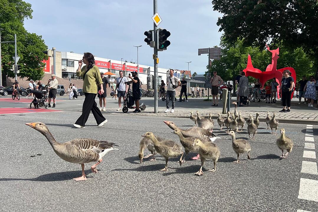 G&auml;nsemarsch