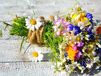 Wildblumenstrauß auf Holzuntergrund