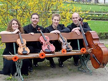 Das Hofgarten Quartett mit Alina Riegel, Jérôme Huy, Martin Kiefl, und Frieder Ziemendorf spielt am Samstag in Bad Brückenau. Foto: Katrin Schreck