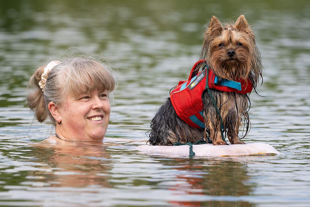 Hundebadetag im Naturbad Dresden-Mockritz