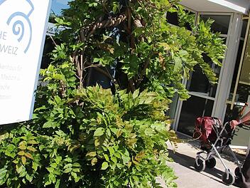 In der Klinik Fränkische Schweiz stehen für die Intensivstation Sanierungsmaßnahmen in Millionenhöhe an.