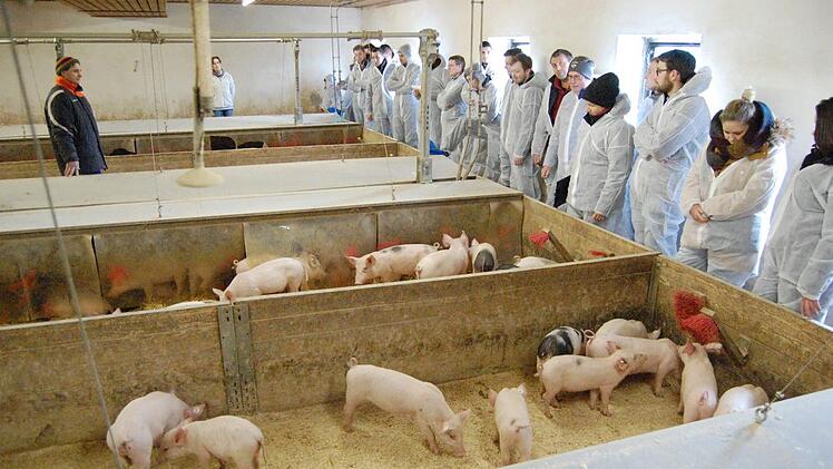 Angehende Meister schauen ins Ferkelnest.