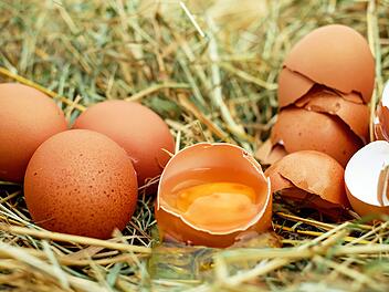 Eier sind vielseitig und lassen sich sogar einfrieren