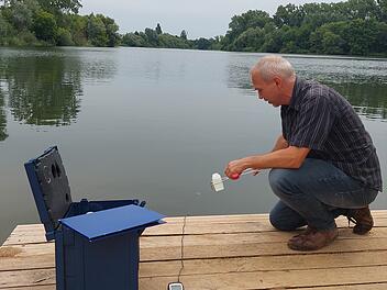 Landkreis Kitzingen: Badegewässer auf Wasserqualität kontrolliert - Landratsamt mit Verhaltensregeln Landkreis Kitzingen: Badegewässer auf Wasserqualität kontrolliert - Landratsamt mit Verhaltensregeln