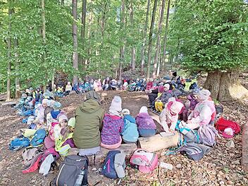 Zahlreiche Kinder erlebten eine spannende Waldwoche mit vielen Entdeckungen.