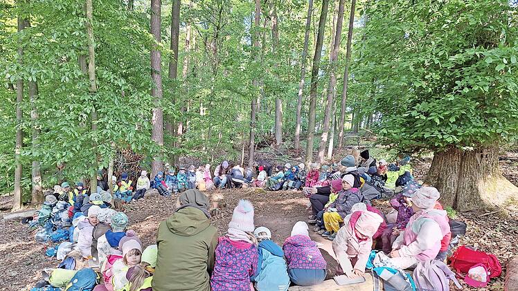 Zahlreiche Kinder erlebten eine spannende Waldwoche mit vielen Entdeckungen.