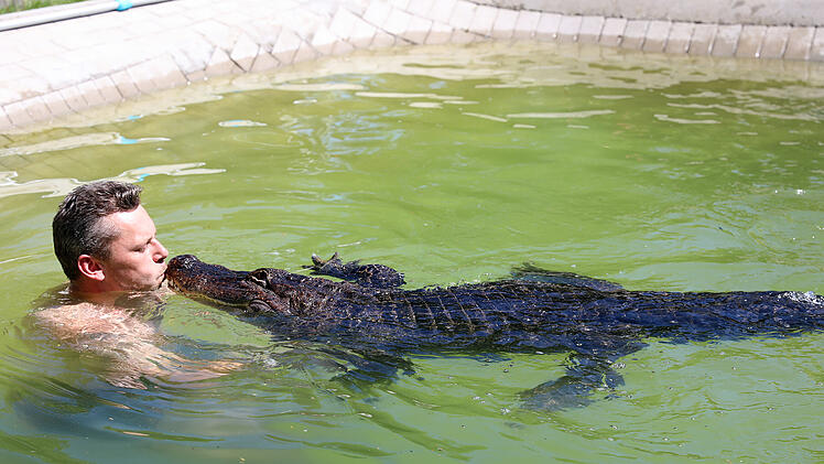 Alligator-Dame Frau Meyer im Gartenpool