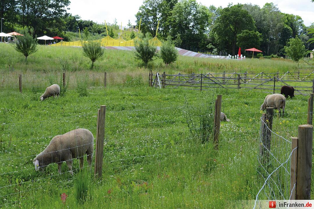 Landesgartenschau 2016 Bayreuth