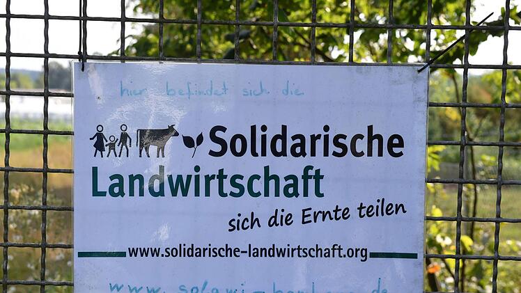 Das Prinzip der Solidarischen Landwirtschaft ist relativ einfach. Foto: Ronald Rinklef