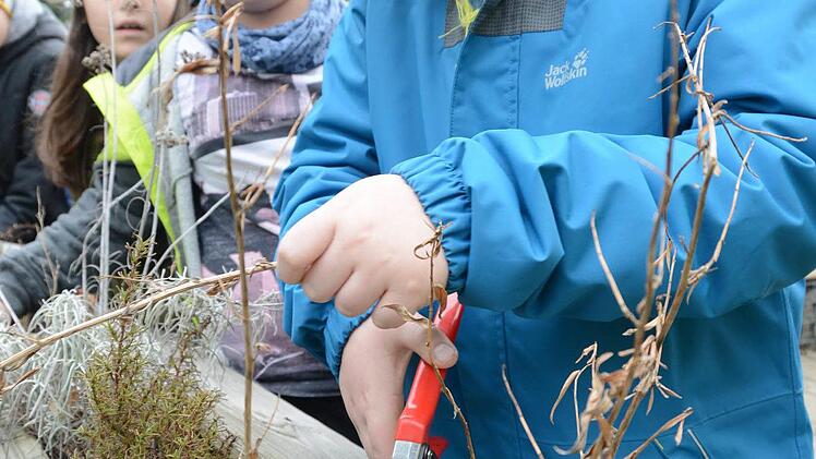 Erster Arbeitseinsatz im Melkendorfer Schulgarten: Die Grundschüler sind mit vollem Einsatz dabei! Foto: Dagmar Besand