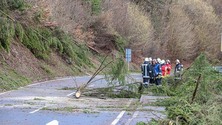 Überall in Franken mussten die Feuerwehren umgestürzte Bäume wegräumen. Sturmtief Eberhard gönnte den Rettern keine Atempause, berichtet die Einsatzzentrale Oberfranken. Fotos: News5 /Merzbach