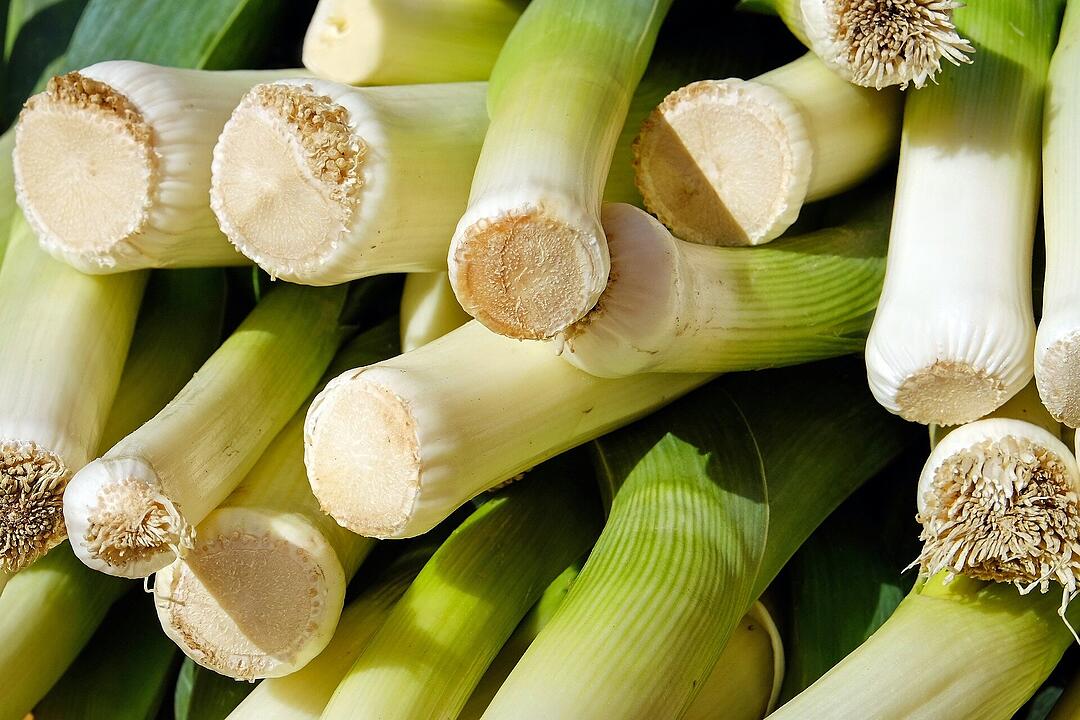 Lauch