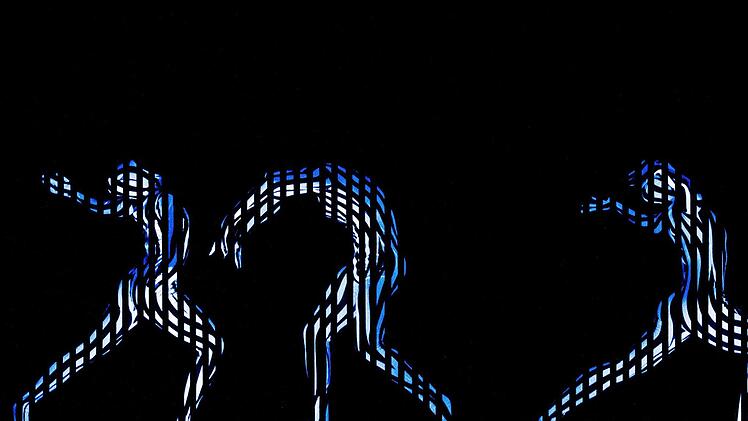 Das "eVolution dance theater" tritt beim Nachsommer Schweinfurt 2017 auf.  Foto: Company