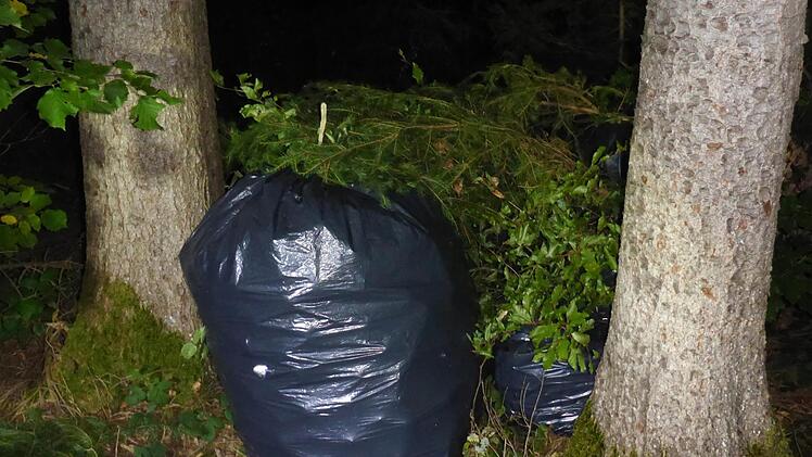 Die Müllsäcke waren mit Reisig bedeckt im Wald versteckt worden. Foto: Polizei Kaufbeuren