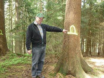 Wer dieses Zeichen an einer seiner Bäume sieht muss keine Angst haben, es entstehen keine Nachteile noch wird der Baum entfernt. Es weist lediglich auf einen in der Nähe befindlichen Kohlenmeiler aus früheren Zeiten, also auf ein historisches Kulturgut hin.  Foto: Karl-Heinz Hofmann