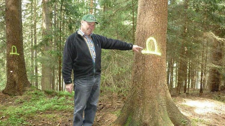 Wer dieses Zeichen an einer seiner Bäume sieht muss keine Angst haben, es entstehen keine Nachteile noch wird der Baum entfernt. Es weist lediglich auf einen in der Nähe befindlichen Kohlenmeiler aus früheren Zeiten, also auf ein historisches Kulturgut hin.  Foto: Karl-Heinz Hofmann