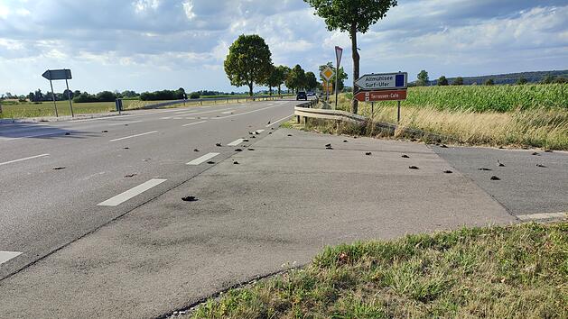 Tote Stare auf B13