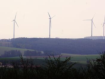 Windräder-"Zwerge" sind im Windpark Elfershausen nicht gefragt. Die Prowind GmbH beabsichtigt hier Windkraftanlagen mit größeren Rotoren zu errichten, dafür aber eine kleinere Stückzahl.  Foto: Winfried Ehling