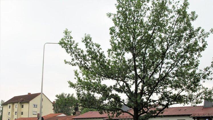 Ein attraktives und schmuckes Wohnviertel: die Pfarrer-Greiner-Stra&szlig;e in Neustadt. Foto: Dieter Seyfarth