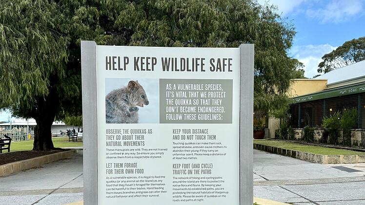 Quokkas auf Rottnest Island