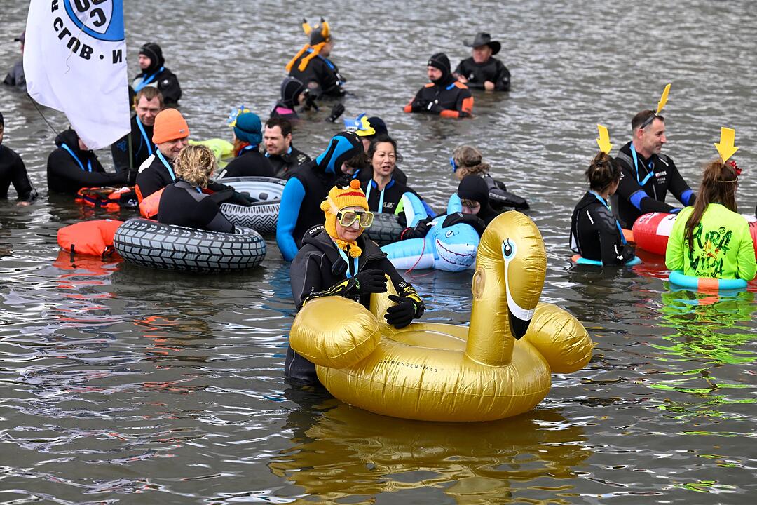 Rheinschwimmen in K&ouml;ln
