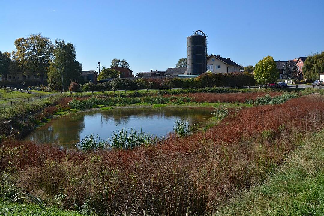 05.11.2015  Fotoreportage Thann