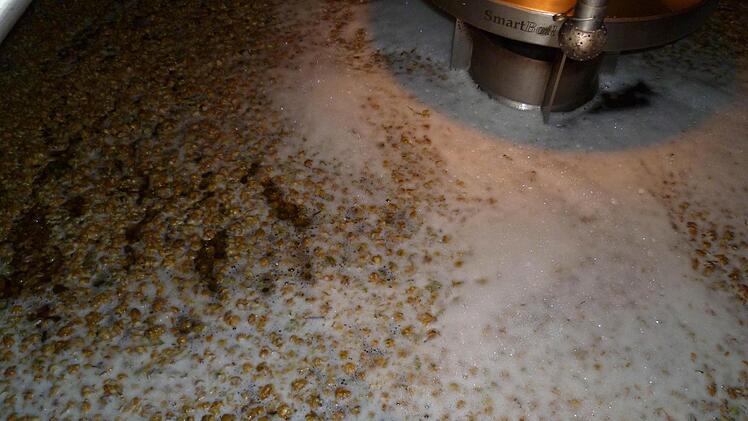 Und so sieht es aus, wenn Kronacher Hopfen mitkocht. Foto: Corinna Igler