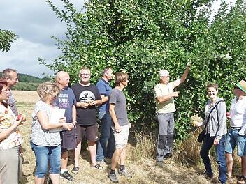 Edwin Fella erkl&auml;rte den Bietern die Apfelsorten, welche zur Versteigerung anstehen.&nbsp; Foto: &nbsp;Bernd H&uuml;fner