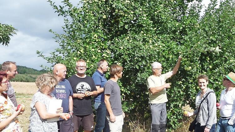 Edwin Fella erkl&auml;rte den Bietern die Apfelsorten, welche zur Versteigerung anstehen.&nbsp; Foto: &nbsp;Bernd H&uuml;fner