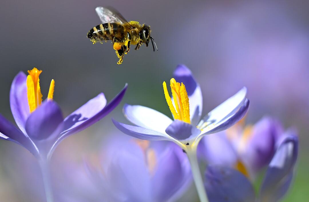 Fr&uuml;hlingshaftes Wetter in M&uuml;nchen