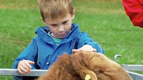 Fasziniert nicht nur den kleinen Jakob: Der Fuchsschafsbock Enrico.