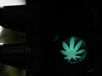 Cannabis-Blatt auf Ampel