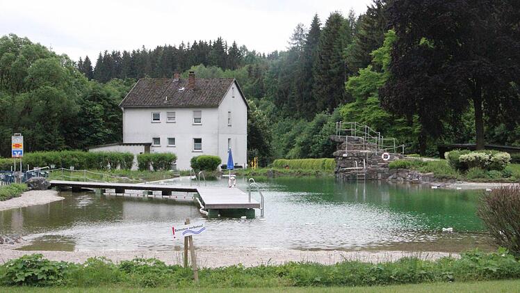 Blick auf den Badeteich und den Sprungturm.  Foto: Friedwald Schedel