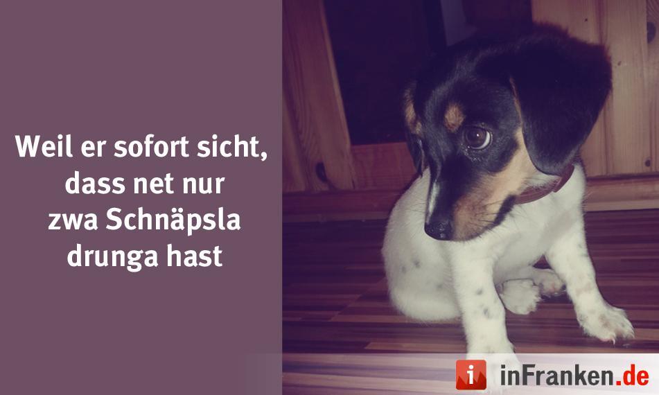 Foto: Fredchen