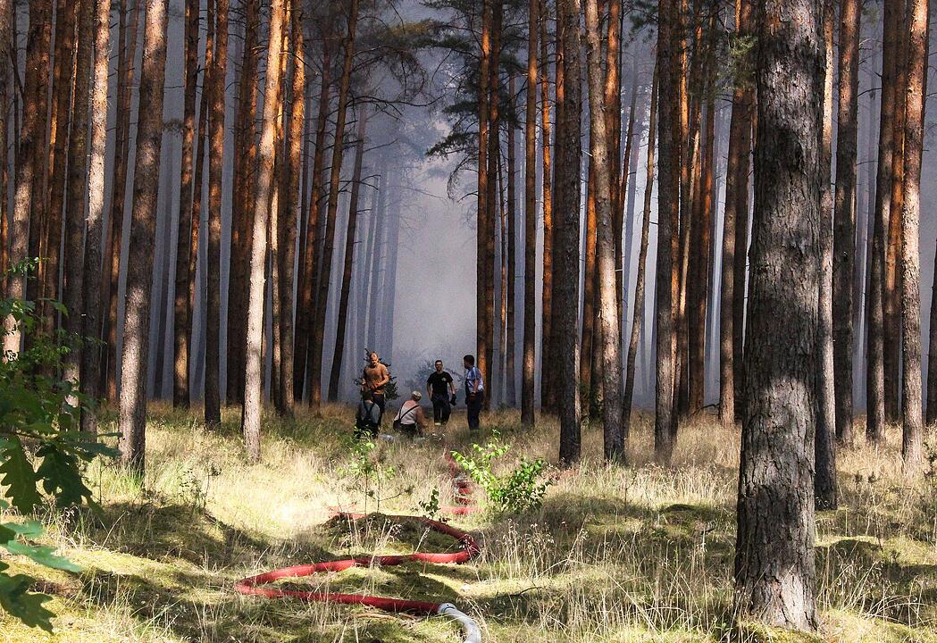 Waldbrand nahe der A9: 90 Hektar stehen in Flammen