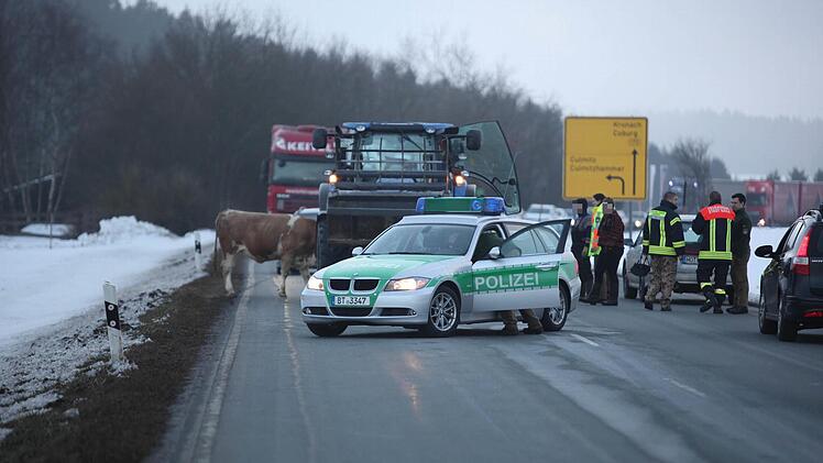 Foto: News5 / Fricke