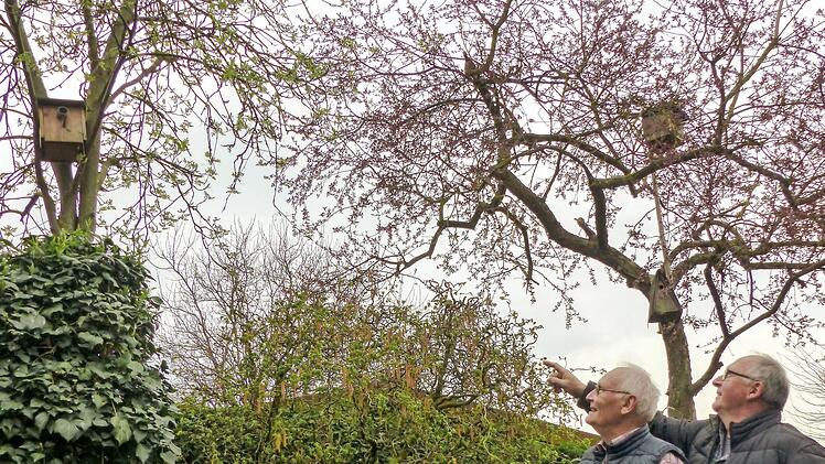 Naturfreunde unter sich: Seit 15 Jahren kümmern sich Rudi Schöpplein (links) und Dietmar Spath um die Stettfelder Vogelwelt. In ihren Gärten, hier bei Rudi Schöpplein, haben sie Nistkästen angebracht.  Foto: cz