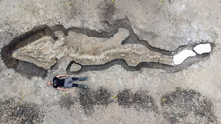 Zehn Meter langes Dinosaurier Skelett gefunden: Britische Forscher entdecken Ichthyosaurier
