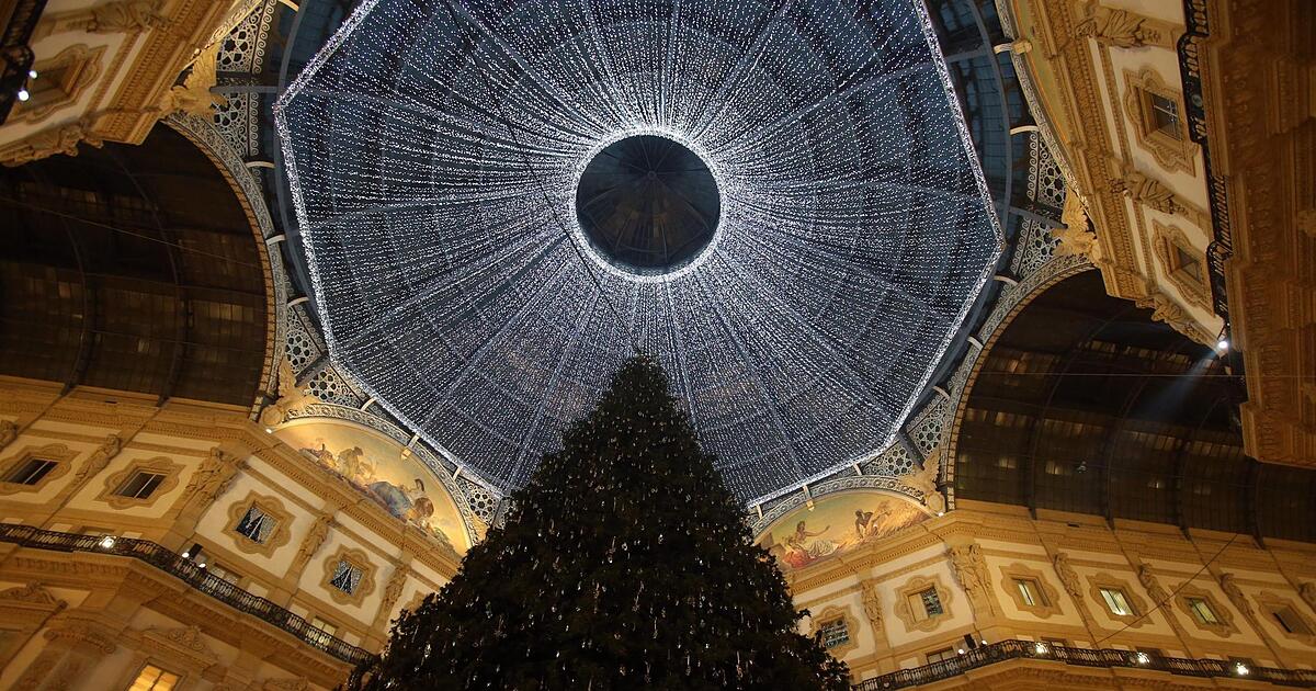 Beeindruckende-Weihnachtsb-ume-aus-aller-Welt