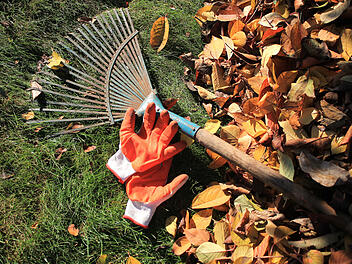 Herbst: Zeit um den Rasen auf den kommenden Winter vorzubereiten. Dazu gehören der letzte Schnitt und das regelmäßige Rechen von Laub.