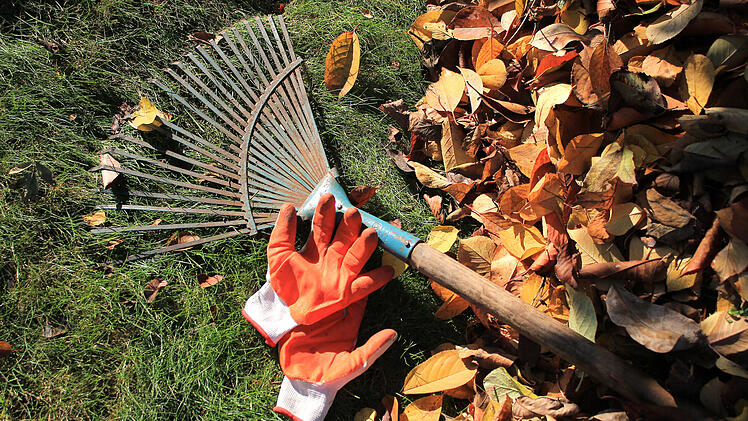Gartenarbeiten im Hebst und wie du deinen Bodentyp bestimmst.