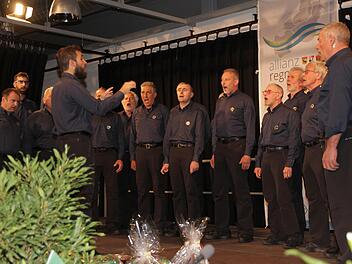 Der Bergsteigerchor Cato Alpino aus RonzoChienis eröffnete musikalisch mit der Europahymne auf Deutsch undItalienisch.