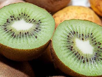 Bei Kiwis sollten alle fruchttragenden Ranken bis auf vier bis sieben Blätter oberhalb der letzten Frucht entfernt werden. Foto: dpa