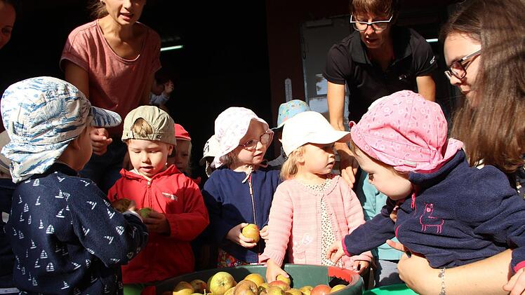 Die Brünner Krippenkinder bei der Apfelaktion des Kindergartens.Heike Beudert