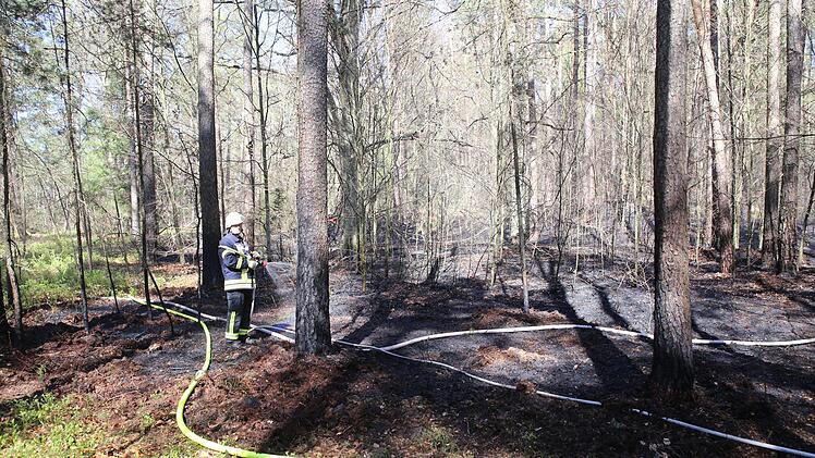 Bei einem Feuer im Kreis Nürnberger Land (Mittelfranken) gerieten am Freitag rund tausend Quadratmeter Wald in Brand. Die Feuerwehr rückte mit einem Großaufgebot an und löschte die Flammen. Foto: NEWS5 / Fechner